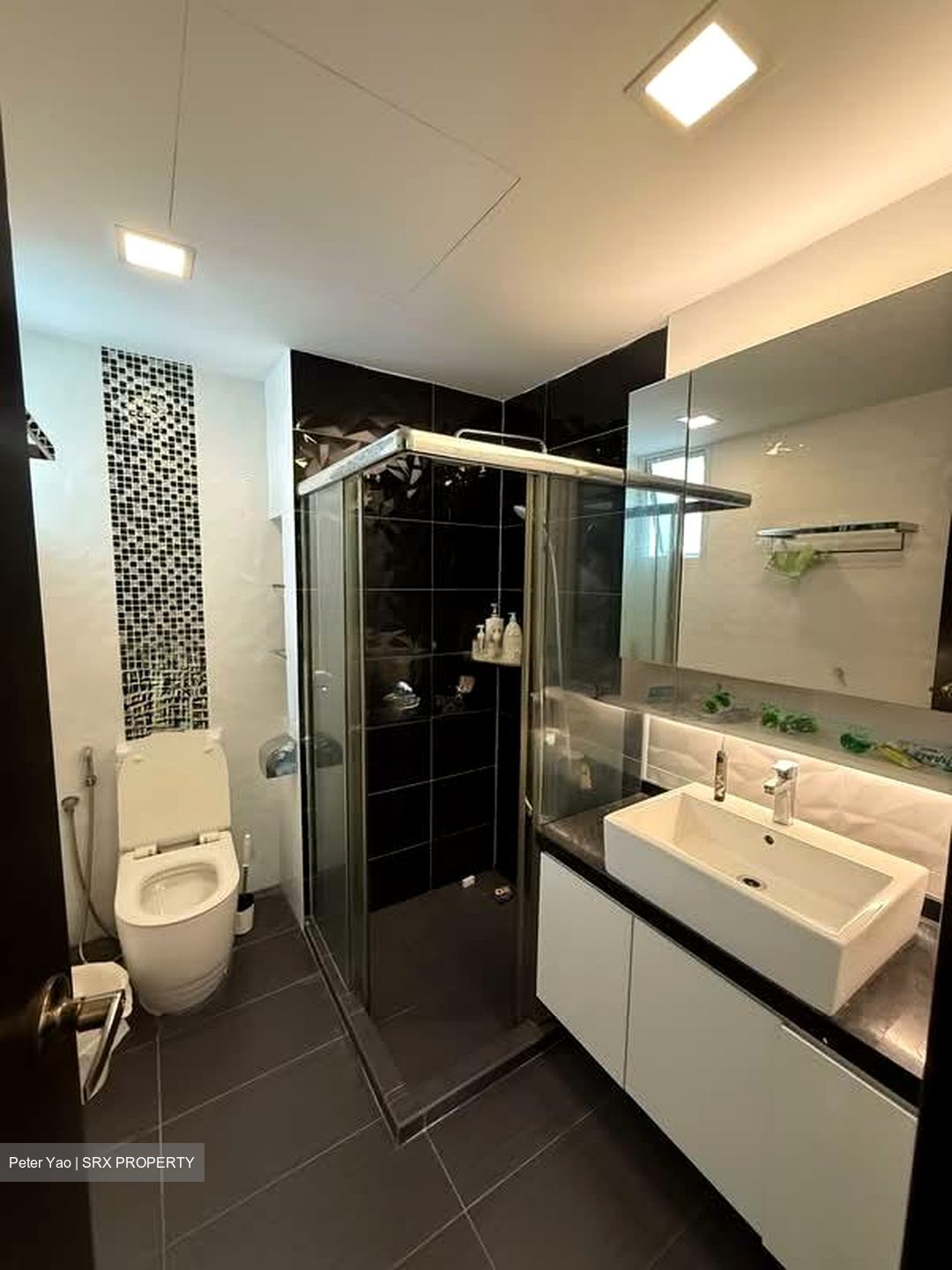 Parc Palais (D21), Condominium #573531091